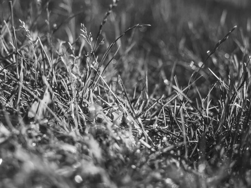 sudoku puzzle game screenshot 4